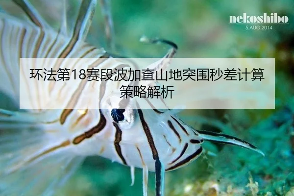 环法第18赛段波加查山地突围秒差计算策略解析